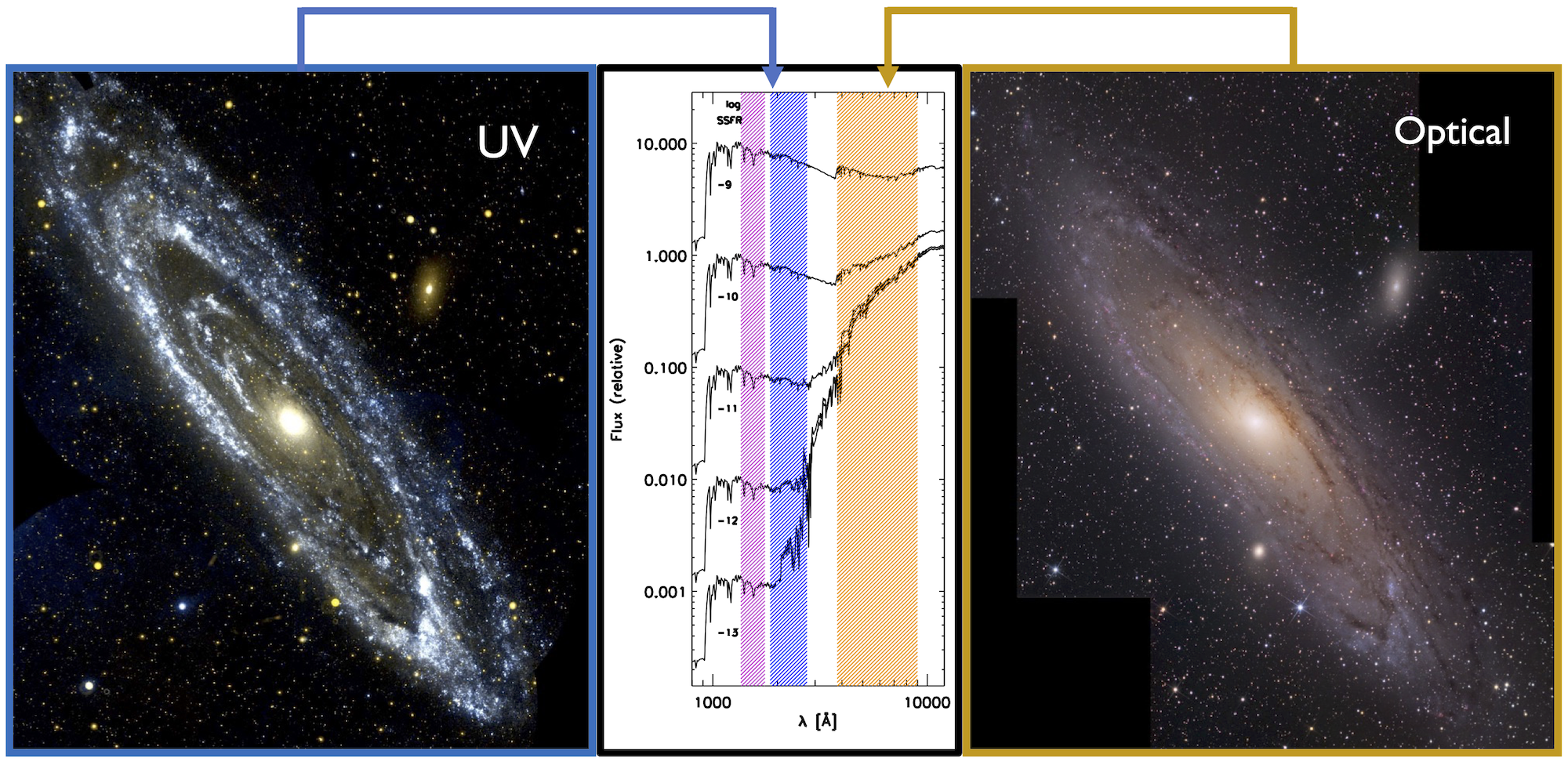 UV and Optical galaxy